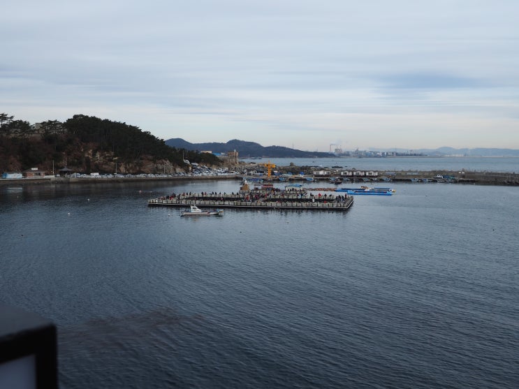  산책하다 울산낚시포인트 발견! 가두리 유료 좌대낚시터