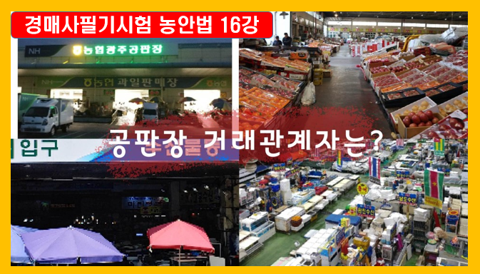  [경매사필수과목-농안법 #16] 오늘은 도매시장 중 공판장에 대해서 알려줄께!