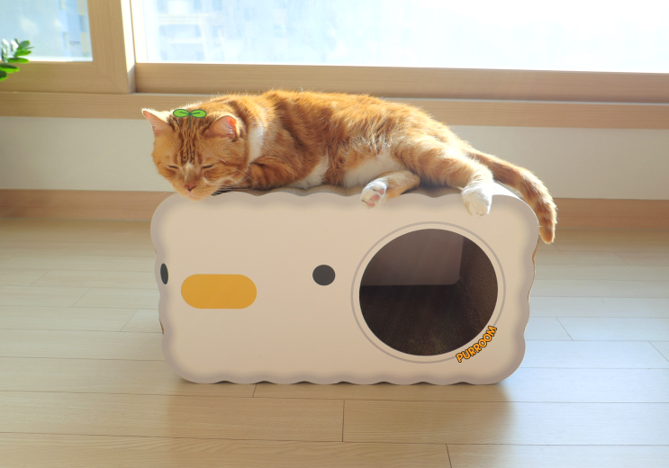  고양이숨숨집 PURROOM 정서적 안정 위한 스크래쳐 겸용 박스집