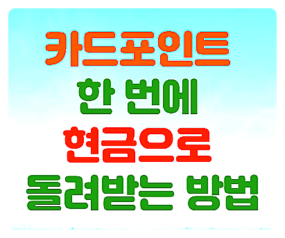  카드포인트 한 번에 현금으로 돌려받는 방법