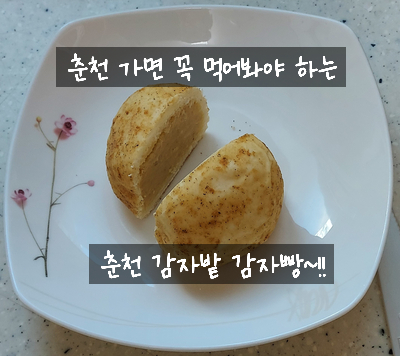  [강원도 춘천 베이커리] 처제가 선물해 준 감자밭 카페 감자빵 먹어 봤는데, 상당히 맛있네요~!!