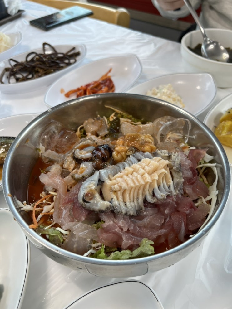  영순네횟집 물회먹으러 다녀왔어요 : 넌 나에게 모..모욕감을 줬어..