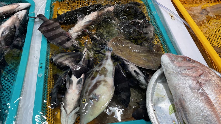  거제도 - 거제고현시장