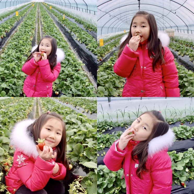 순간포착 1월 31일에 이런일이 | 슬쌍디아빠 과거로의 산책