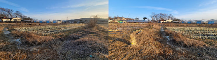  토지(임야)대장 열람·등본발급 신청 방법 알아보기