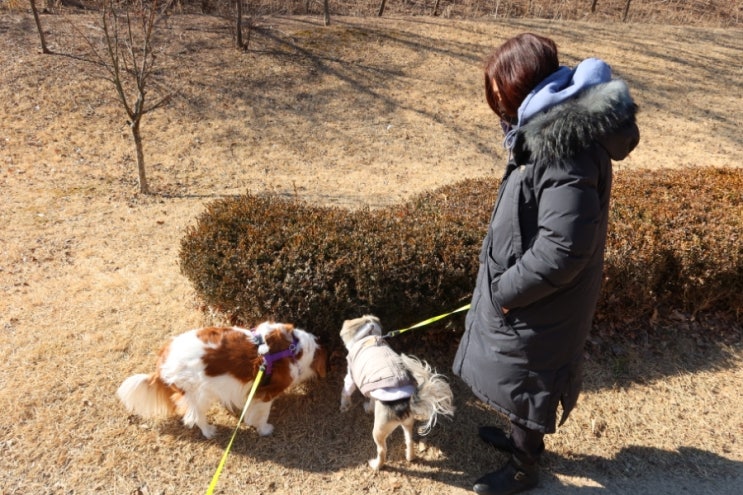 2022년 1월 친정엄마와의 기록