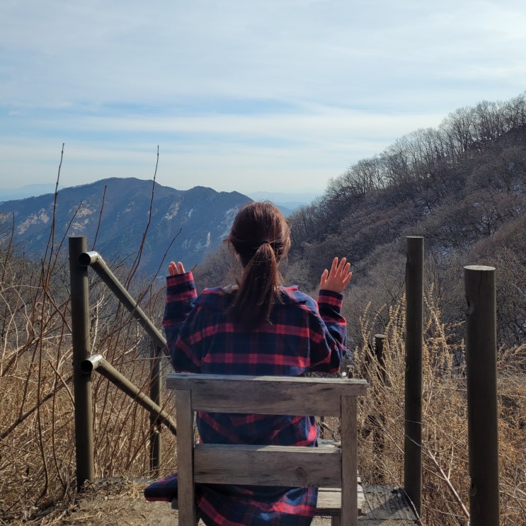 일기 명절2일차 계룡산 남매탑 등산 대왕산삼백숙농원 산삼갈비탕 자작나무커피