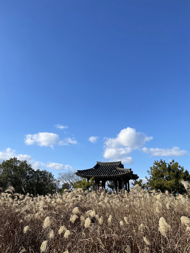 제주도 아이랑 함께가기 좋은 제주 민속촌 제주도 아이랑 함께가기 좋은 제주 민속촌