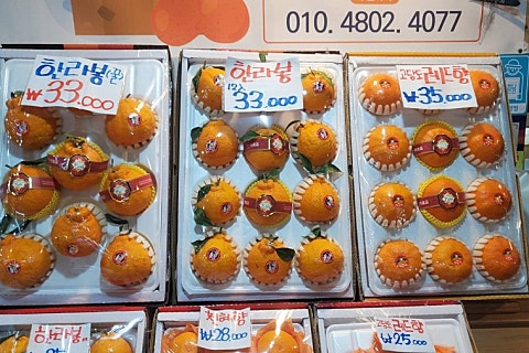 오늘청과2 이미지