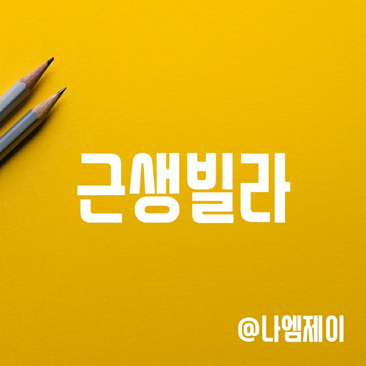 빌라투자 주의사항 - 근생빌라는 피하자 빌라투자 주의사항 - 근생빌라는 피하자