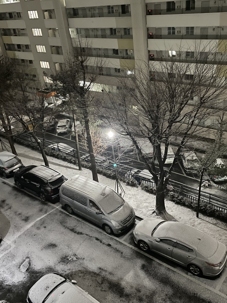  2022.01.31 눈오는 설날 전야제