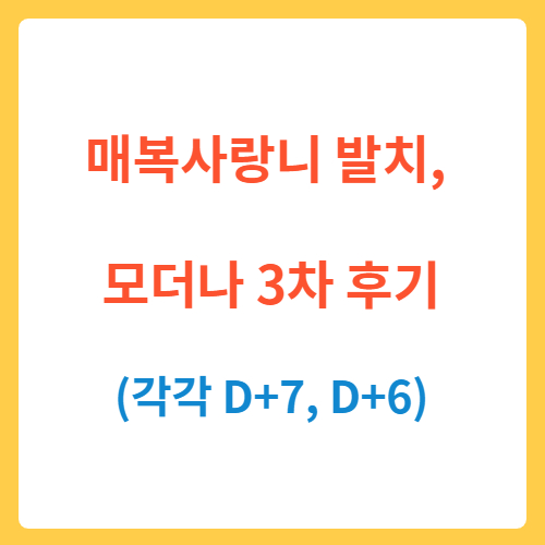  매복사랑니 발치(D+7까지), 모더나 3차 D+6까지 후기