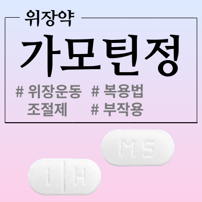 가모틴정 위장운동조절제 복용법과 효능 주의사항 알아봅시다