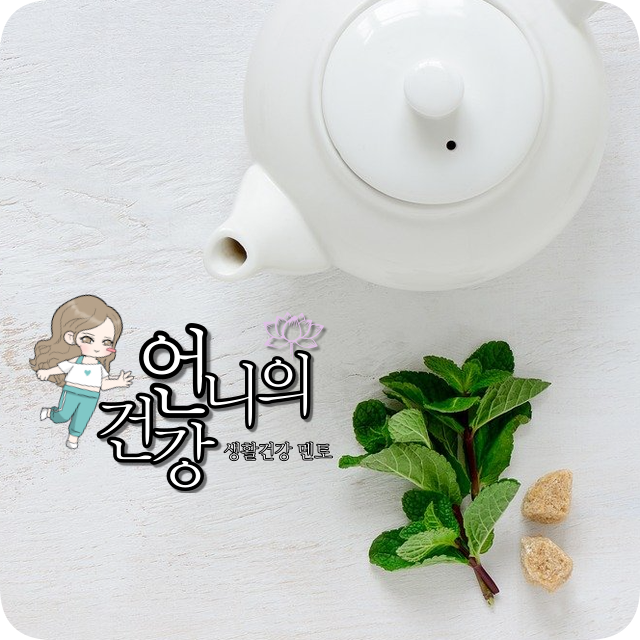 녹차 효능 추출물, 현미 녹차 가루 효능(카페인/카테킨) 맛있게 : 네이버 블로그