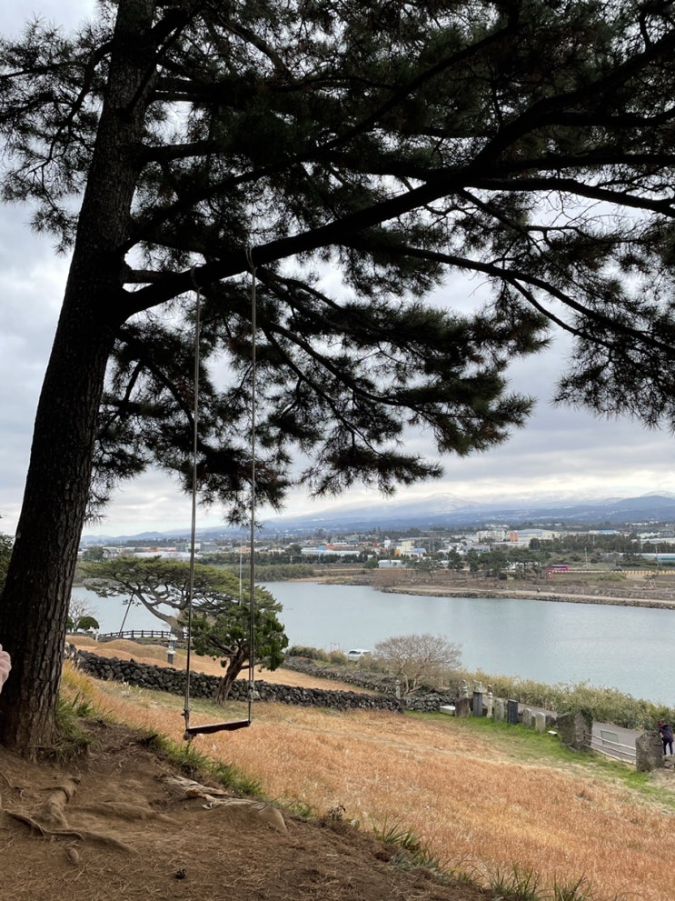 [제주여행] 1일차_수산봉 오름 산책로 / 제주도 공항근처 레터링케이크 보배케이크