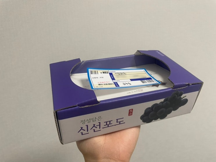  명절 용돈 박스 귀여운 미니 과일 용돈 상자 사용했어요
