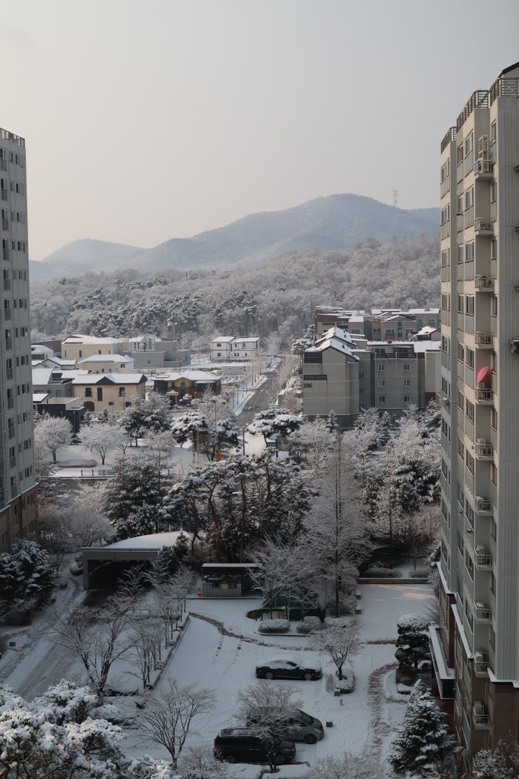  설 전날에 술먹다 바라본 풍경과 일상들 (22.1.31)