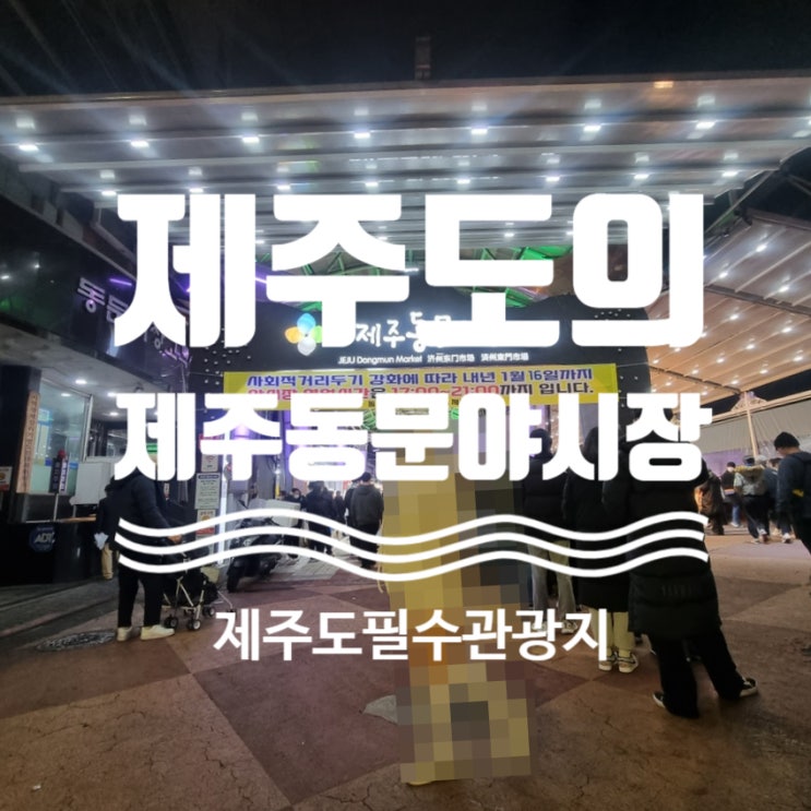  리얼후기 [ #제주동문시장야시장 ] #제주가볼만한곳 #제주야시장 #제주공항근처야시장 #제주관광지