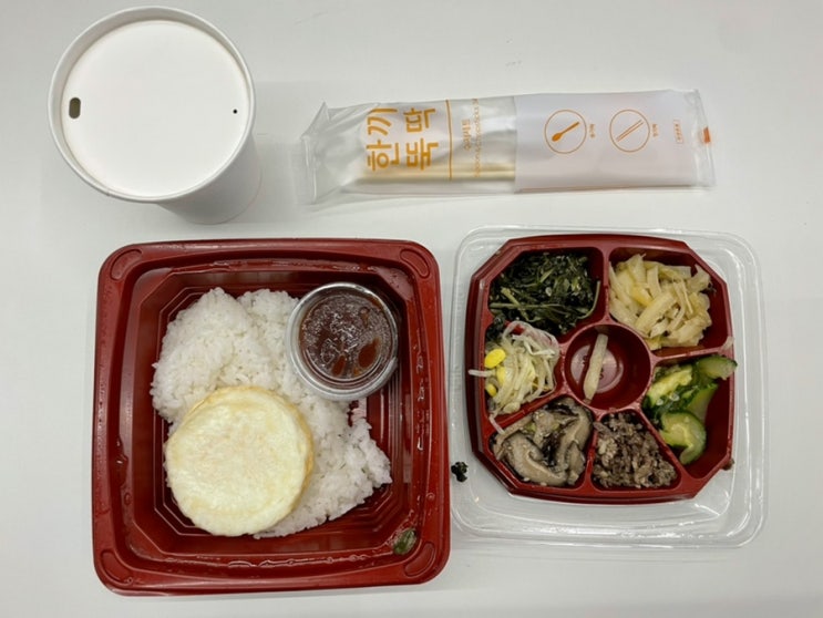  두달간의 위잇딜라이트 (내돈내산 점심구독)