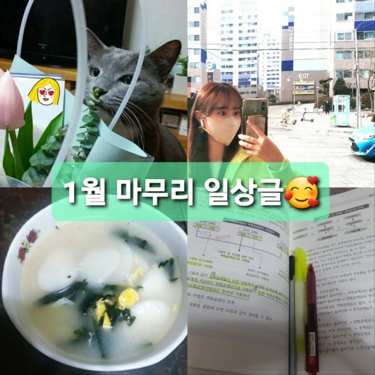  1월 마무리 일상글 첫월급️/공제자격시험/예보대외활동/충북대현고들깨칼국수/성안길칭야채곱창/청주옹고집