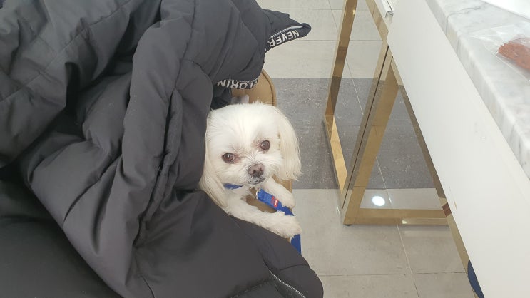  1/~ 구찌와눈누일상