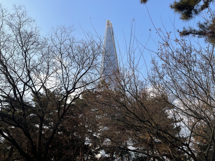 석촌호수 롯데타워와 함께하는 송리단길데이트