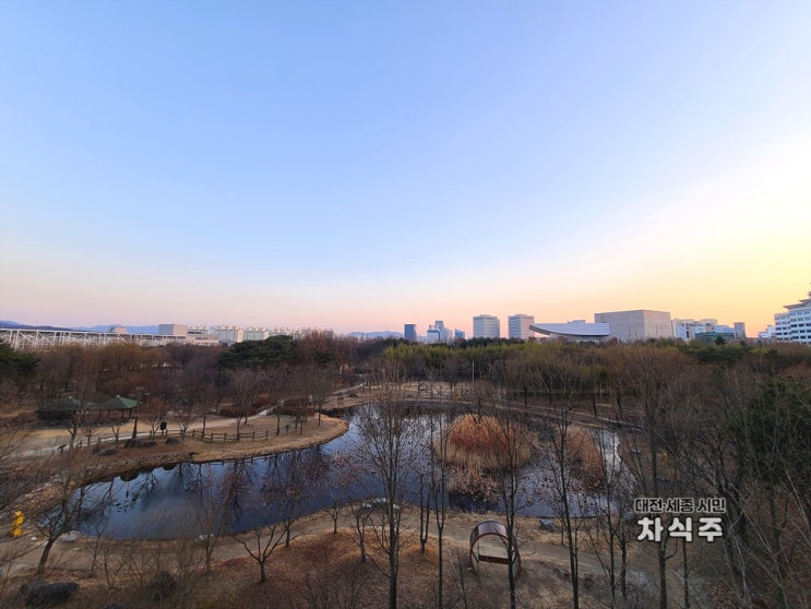  대전 가볼만한곳 한밭수목원 전망대
