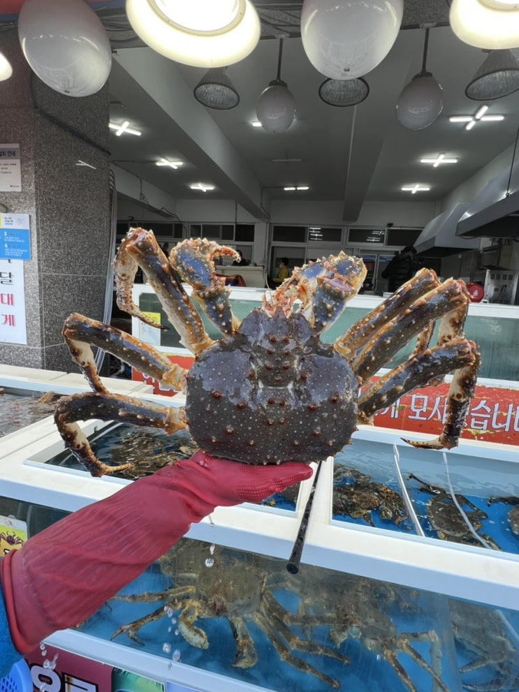  울산 정자항 유정호선장집 다녀왔어요~!