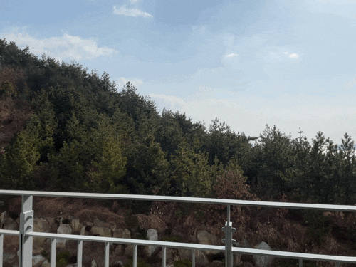 남해 라피스호텔 디럭스룸(마운틴뷰) 숙박 후기! +조식
