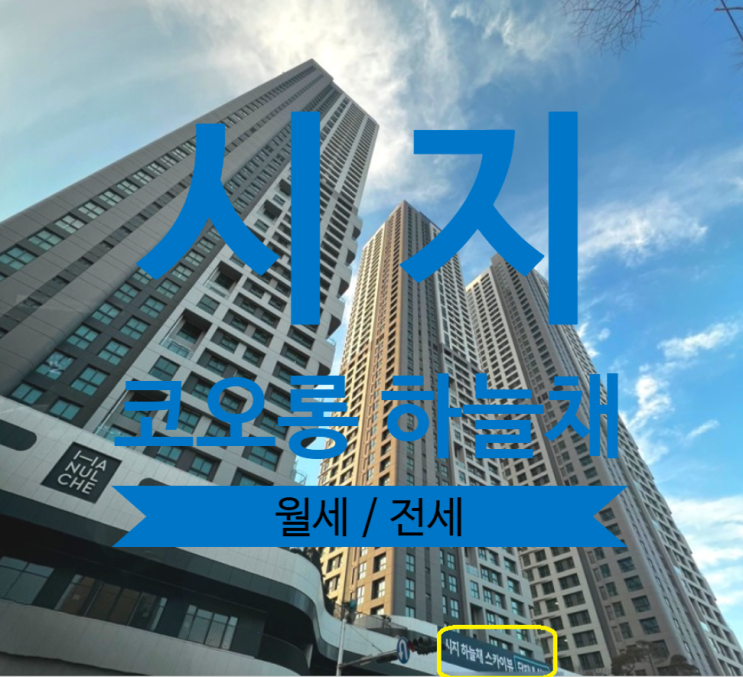  시지 코오롱하늘채 가격좋은 월세, 전세 구합니다