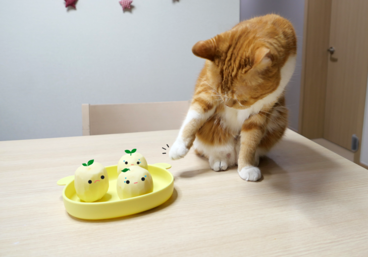  고양이 감자 먹어도 되나요? 식이섬유 가득 들어간 뿌리 채소