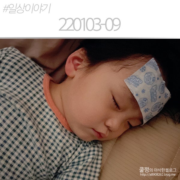 220103-09일상/샨이840~846d@ 아프지마 아가 T_T / 열과의 전쟁 / 그래도 신나게 잘 놀았던 평일 / 키....