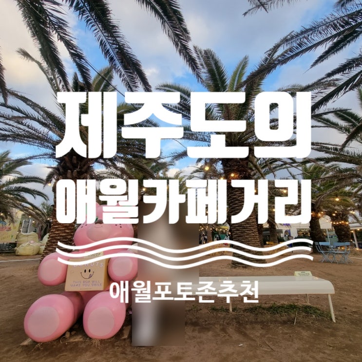  제주 애월카페거리  #제주카페 #제주노티드도넛 #몽상드애월 #제주포토존 #제주인생샷