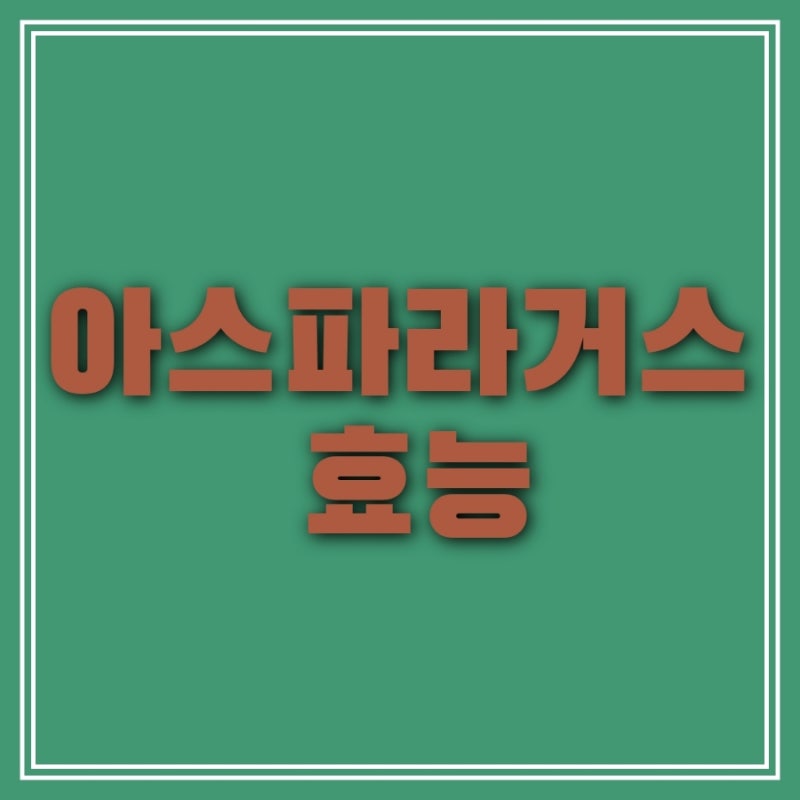 아스파라거스 효능 8가지