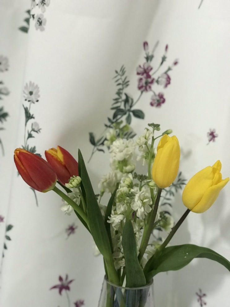  일상 복귀 기념 꽃