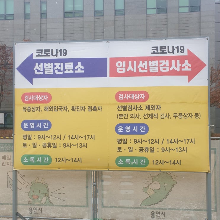  코로나19 확진 및 격리 과정