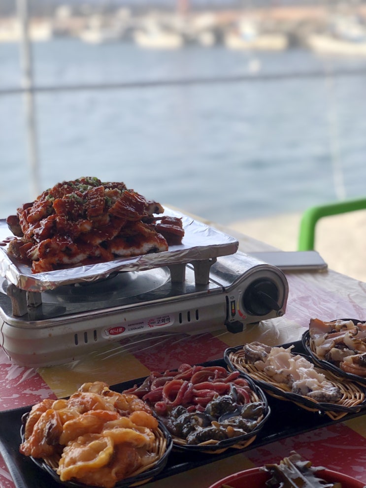  부산 기장 맛집 - 학리방파제 7번 명성호 / 방갈로 후기 + 방파제 고양이