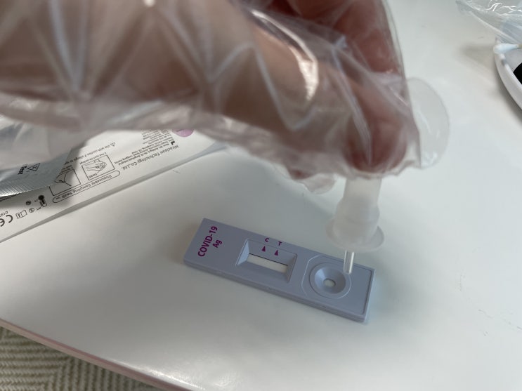  [COVID-19 Ag Home Test] SD 바이오센서 코로나19 자가 진단 키트 사용 후기