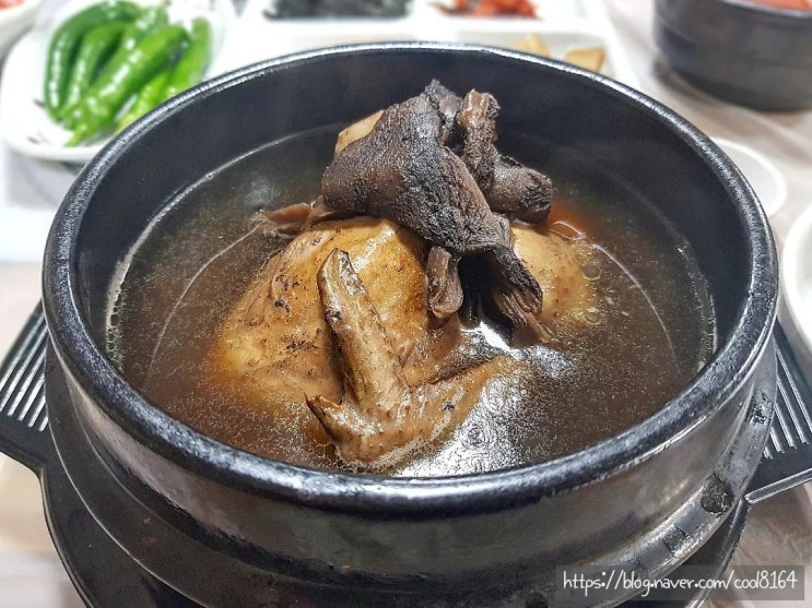  경산 옥산동 맛집, 몸보신 한방삼계탕 능이삼계탕 맛집, 억수삼계탕