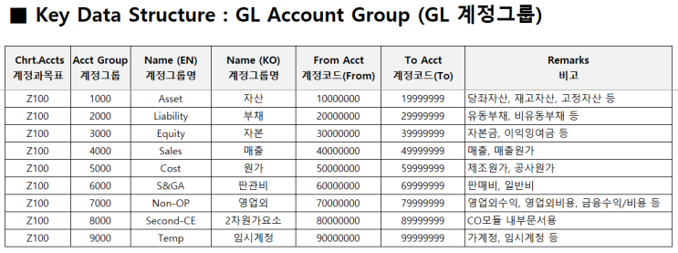 [Key Data] GL Account Group (계정그룹)