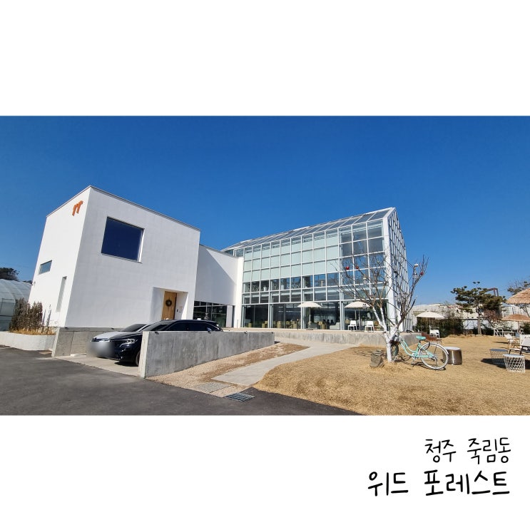  청주 온실카페 위드포레스트 베이커리카페