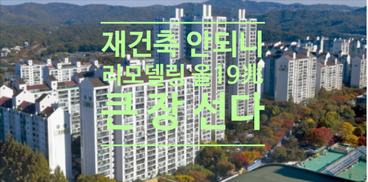  재건축 안되니 리모델링...올 19兆 큰 장 선다