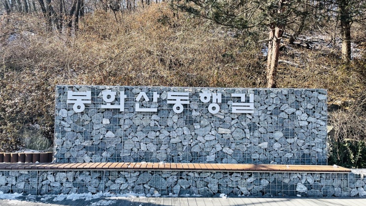  등린이의 산책코스 (feat. 봉화산 둘레길)