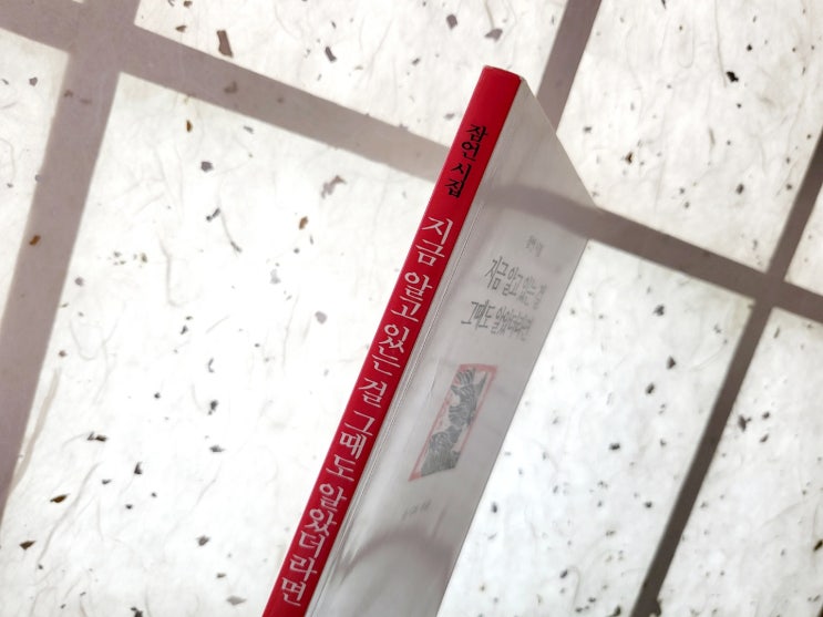  지금 알고 있는 걸 그때도 알았더라면 - 류시화 엮음