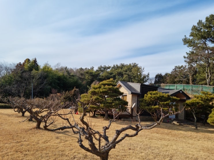  박원숙의 같이 삽시다 시즌2 촬영지 남해군 고현면 도마리