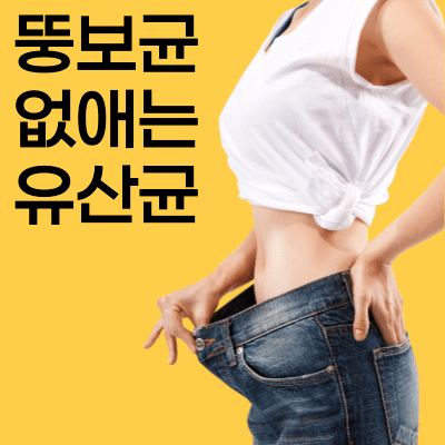  뚱보균없애는유산균 비만탈출, 다이어트성공