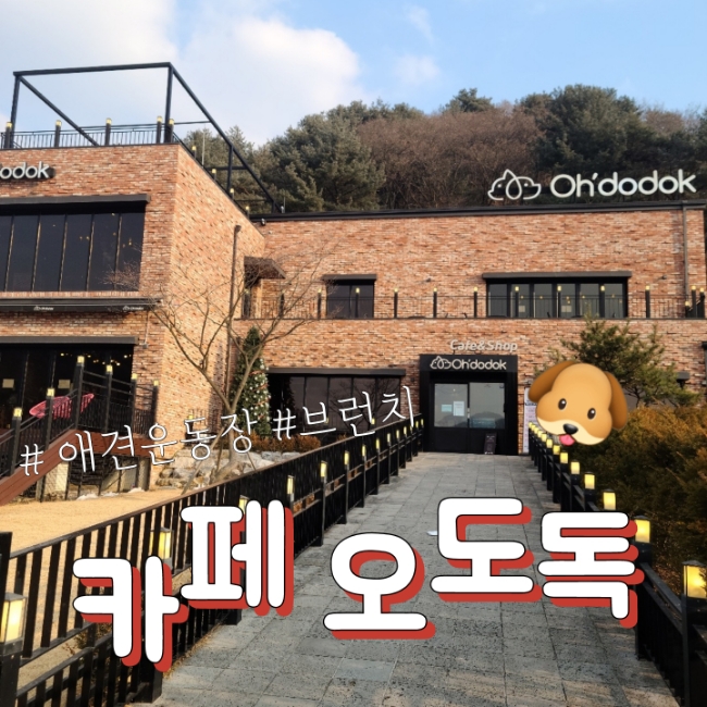 [동두천] 서울 근교 애견운동장의 정석, 브런치 카페 오도독