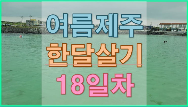  아이와 함께 제주한달살기 18일차 - 천연(무료)수영장이 따로없네! 제주도 서쪽 판포포구에서 물놀이