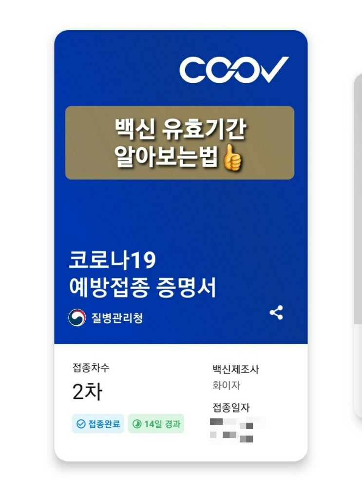  백신 2차 유효기간 간편하게 알아보는법 (feat.쿠브coov앱)c