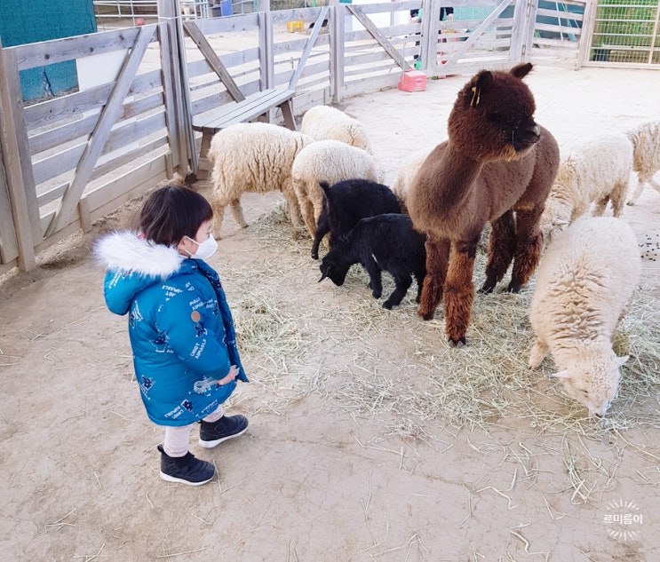  아기랑 갈만한곳 스머프곤충나라 남양주 아기동물농장